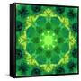 Energetic Mandala Ornament from Flowers-Alaya Gadeh-Framed Stretched Canvas