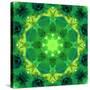 Energetic Mandala Ornament from Flowers-Alaya Gadeh-Stretched Canvas