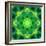 Energetic Mandala Ornament from Flowers-Alaya Gadeh-Framed Photographic Print