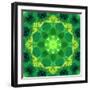 Energetic Mandala Ornament from Flowers-Alaya Gadeh-Framed Photographic Print