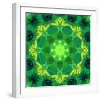 Energetic Mandala Ornament from Flowers-Alaya Gadeh-Framed Photographic Print