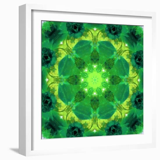 Energetic Mandala Ornament from Flowers-Alaya Gadeh-Framed Photographic Print