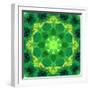 Energetic Mandala Ornament from Flowers-Alaya Gadeh-Framed Photographic Print