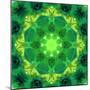 Energetic Mandala Ornament from Flowers-Alaya Gadeh-Mounted Photographic Print