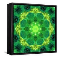 Energetic Mandala Ornament from Flowers-Alaya Gadeh-Framed Stretched Canvas