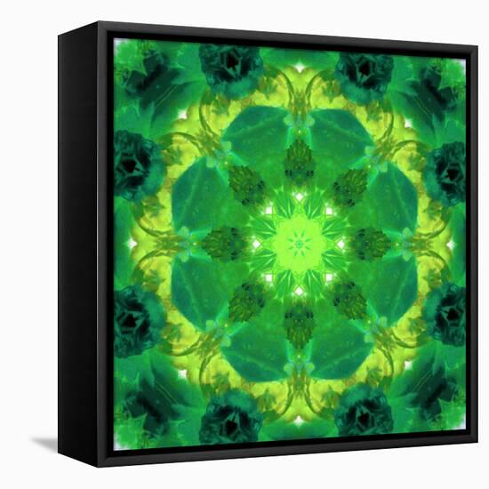 Energetic Mandala Ornament from Flowers-Alaya Gadeh-Framed Stretched Canvas