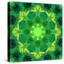 Energetic Mandala Ornament from Flowers-Alaya Gadeh-Stretched Canvas