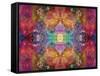 Energetic Multicolor Ornament from Flower Photographs, Emotional Layer Work-Alaya Gadeh-Framed Stretched Canvas