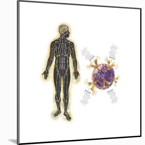 Energy Meridians of the Human Body-null-Mounted Art Print
