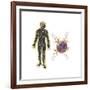 Energy Meridians of the Human Body-null-Framed Art Print