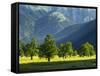 Eng Valley, Karwendel Mountain Range, Tyrol, Austria-Martin Zwick-Framed Stretched Canvas