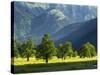 Eng Valley, Karwendel Mountain Range, Tyrol, Austria-Martin Zwick-Stretched Canvas