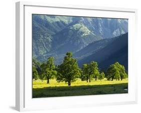 Eng Valley, Karwendel Mountain Range, Tyrol, Austria-Martin Zwick-Framed Photographic Print