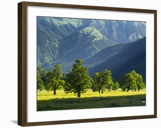 Eng Valley, Karwendel Mountain Range, Tyrol, Austria-Martin Zwick-Framed Photographic Print
