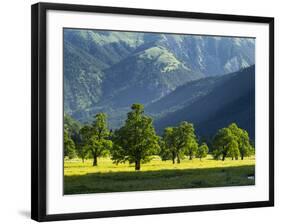 Eng Valley, Karwendel Mountain Range, Tyrol, Austria-Martin Zwick-Framed Photographic Print