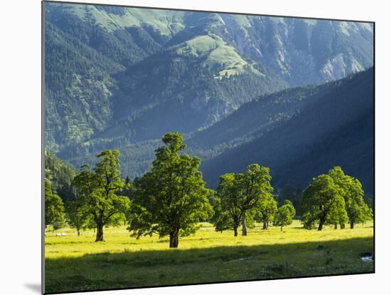 Eng Valley, Karwendel Mountain Range, Tyrol, Austria-Martin Zwick-Mounted Photographic Print