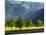 Eng Valley, Karwendel Mountain Range, Tyrol, Austria-Martin Zwick-Mounted Photographic Print