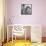 Engagement Portrait of John Kennedy and Jacqueline Bouvier-null-Framed Stretched Canvas displayed on a wall