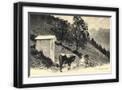Black Frame
