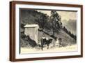Brown Frame