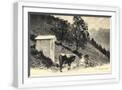 White Frame
