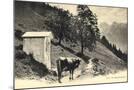 Wood Mount