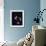 Engelbert Humperdinck-null-Framed Photo displayed on a wall