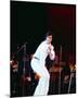 Wood Mount