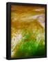 Essential Black