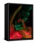 Canvas Black