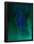 Essential Black