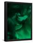 Essential Black