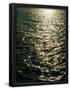 Essential Black