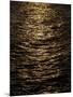 Wood Mount