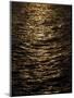 Wood Mount