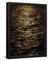 Essential Black
