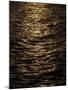 Wood Mount