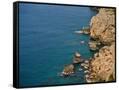Canvas Black