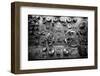 Engine Controls Aboard the Uss Midway in San Diego, Ca-Andrew Shoemaker-Framed Photographic Print