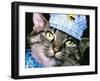 Engineer Chessie-null-Framed Giclee Print