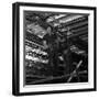 Engineers Lifting Steelwork into Position, South Yorkshire, 1954-Michael Walters-Framed Photographic Print