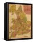 Framed Canvas