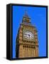 England, Central London, City of Westminster-Pamela Amedzro-Framed Stretched Canvas