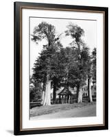 England, Chenies-Fred Musto-Framed Photographic Print