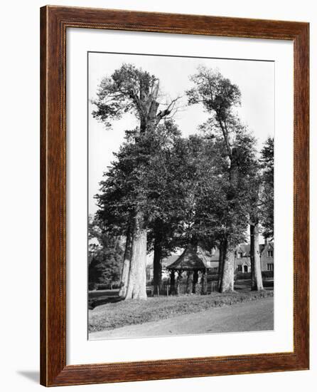 England, Chenies-Fred Musto-Framed Photographic Print