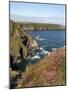 England, Cornwall; Hell's Mouth on the Wild Stretch of Coast Between Portreath and Hayle-Will Gray-Mounted Photographic Print