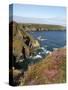 England, Cornwall; Hell's Mouth on the Wild Stretch of Coast Between Portreath and Hayle-Will Gray-Stretched Canvas