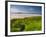 England, Cornwall, Polzeath Beach, UK-Alan Copson-Framed Photographic Print