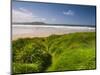 England, Cornwall, Polzeath Beach, UK-Alan Copson-Mounted Photographic Print