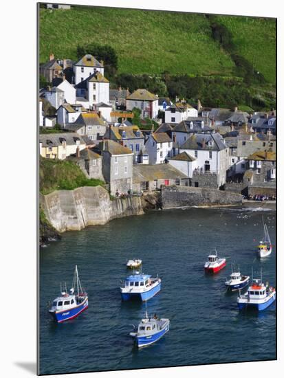 England, Cornwall, Port Isaac, UK-Alan Copson-Mounted Photographic Print